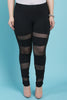 Stretchy Mid Rise Semi-Sheer Mesh Inset Pants
